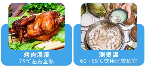 食品電子溫度計怎么用.JPG