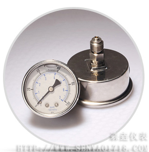 充油壓力表 充油壓力表