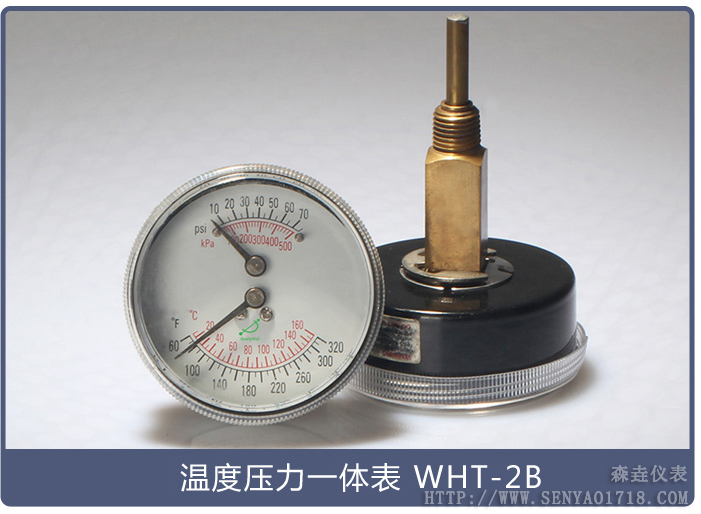 溫度壓力一體表 溫度壓力一體表