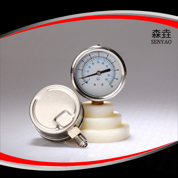 壓力表 壓力表
