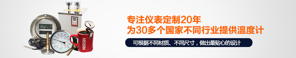 森垚專注儀表定制20年