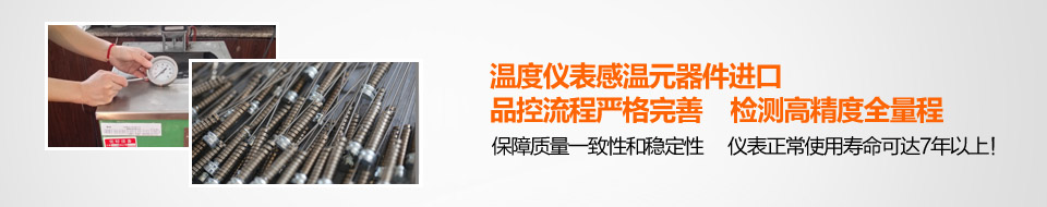 溫度儀表感溫元器件進口、品控流程嚴格完善、檢測高精度全量程